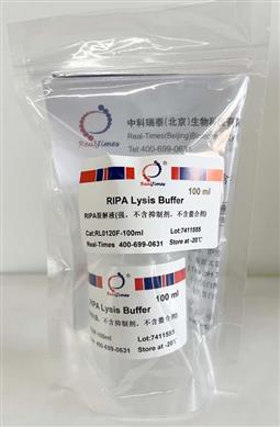 RIPA裂解液(強，不含抑制劑，不含螯合劑)